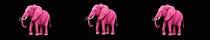 The Pink Elephant