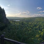 The Environment, For Sale