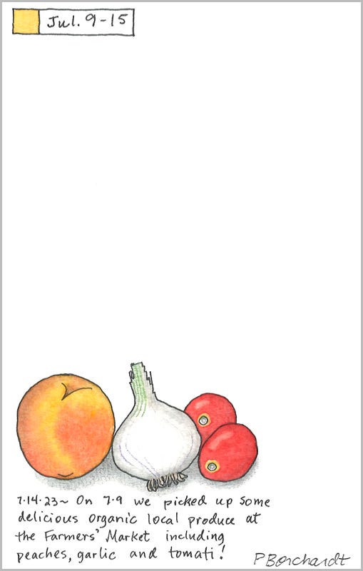 Peach, Garlic and Tomati (pen, watercolor, colored pencil & graphite), Perpetual Journal entry