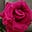 Sharlene Baker's avatar