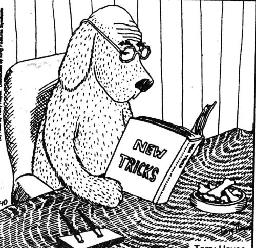 Teaching the Old Dog New Tricks CrankaTsuris - Steven Joseph