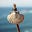 Stephen Brash's avatar