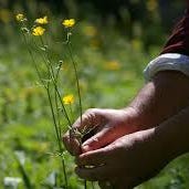 Artwork for The Art Of Playing With Flowers