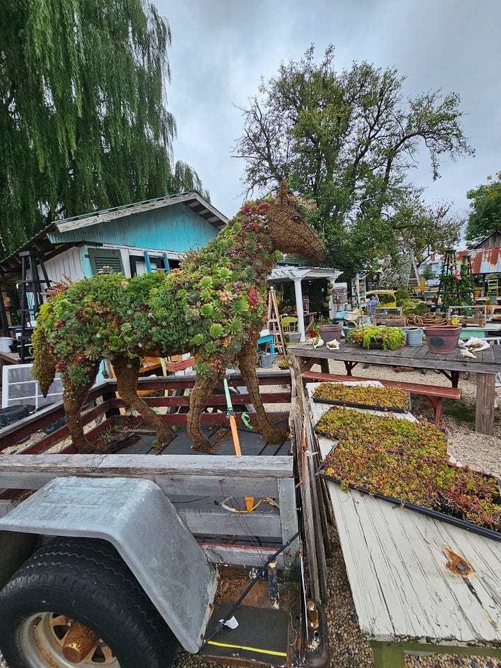 items in a garden center at an antique store in Lucketts VA.