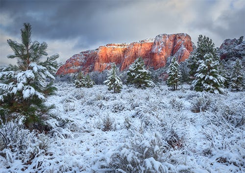 Red rock plateaus in Utah's Capitol Reef National Park sit in the distance with snow-covered juniper and pinon pines below.