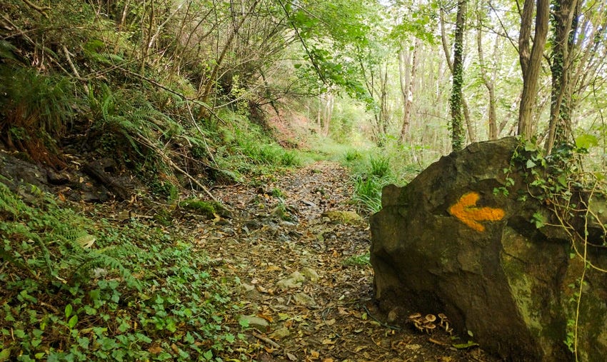 Flecha del Camino de Santiago pintada en una piedra junto al sendero en el bosque