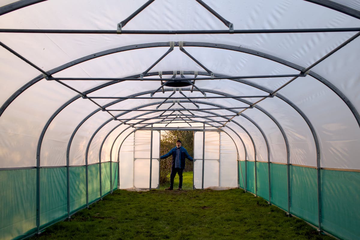 Me standing at the end of a polytunnel