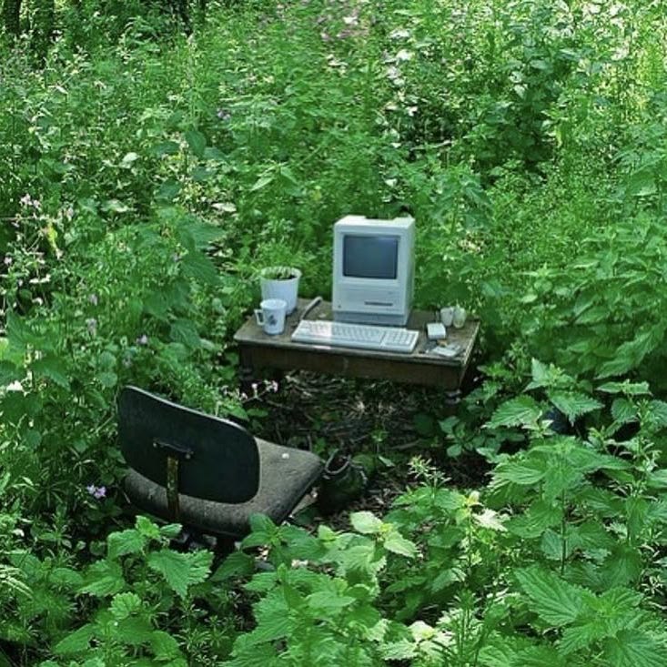 a thought experiment