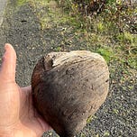 Say it With Your Chest