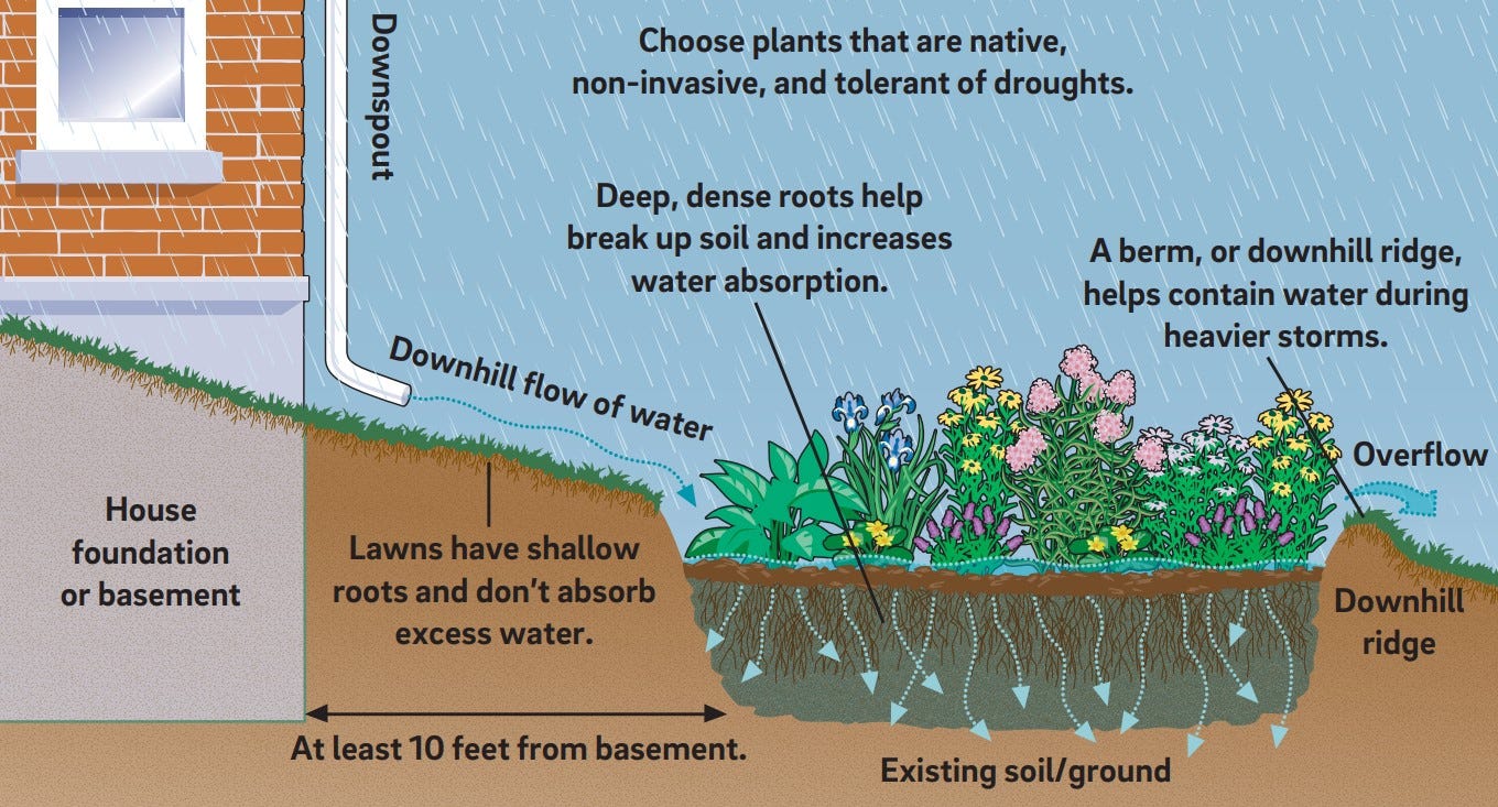 Rain Gardens – Green Stormwater Infrastructure
