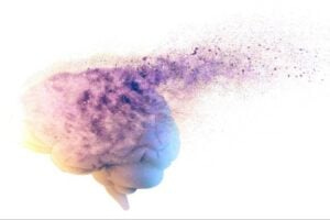A brain dissolving