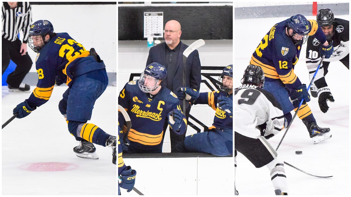 Gill, Lalonde, Borek named finalists for Hockey East awards