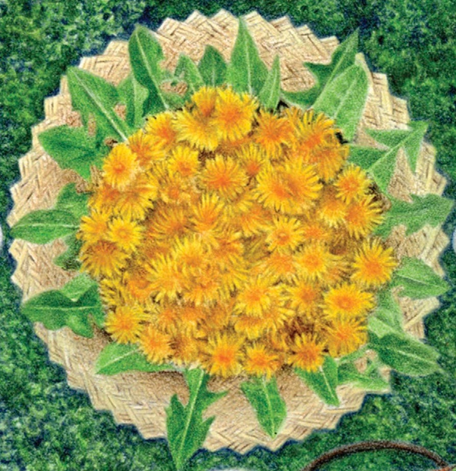 Dandelion mandala