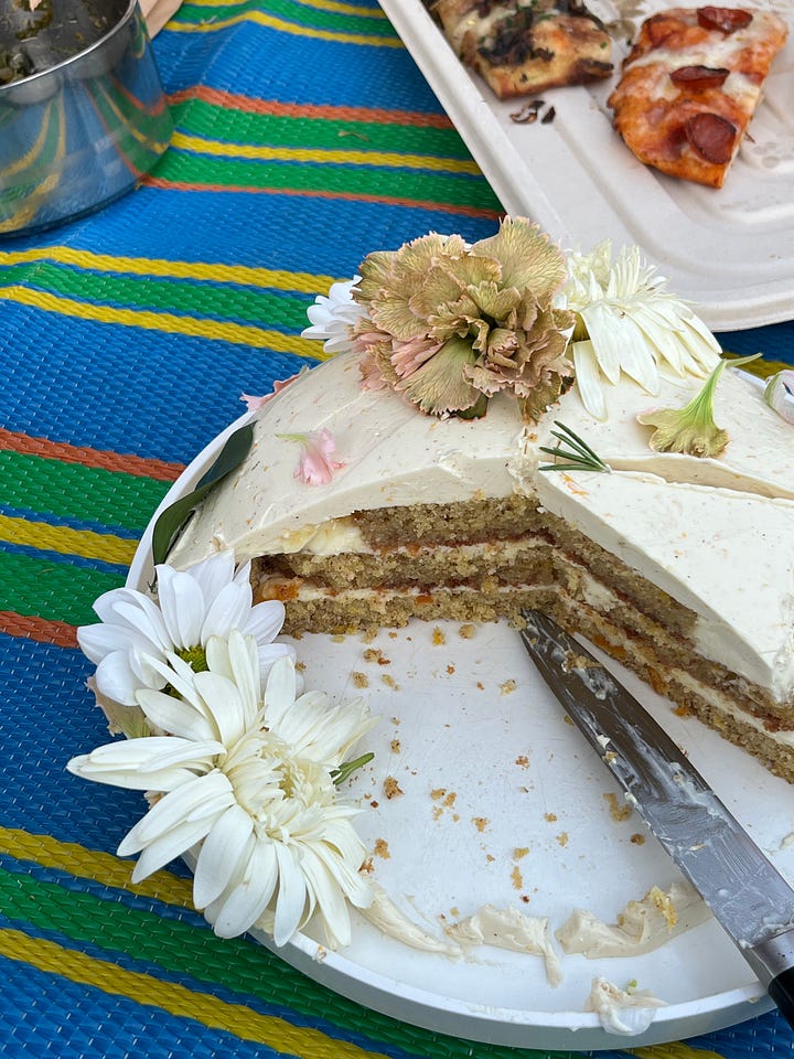 A domed cake atop a picnic blanket.
