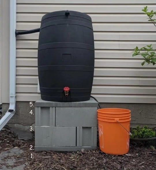 a black plastic rain barrel sits on top of a stack of cement bricks and pads. the photo is to illustrate the order of the pads: first, flat level ground. second: cement pad on the bottom. third and fourth: two layers of four cement bricks arrange in a rectangle. fifth: another cement pad on top. an orang, 5-gallon bucket stands at the same heigh of the bricks, for scale. there are brown leaves on the ground. the barrel has a spigot in front with a round red handle.