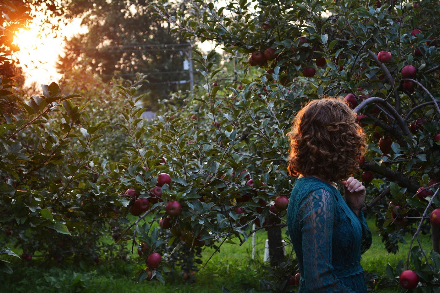 A woman with curly hair and a blue lace dress walks beside plum trees at sunset. A woman with curly hair and a blue lace dress walks beside plum trees at sunset.