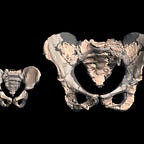 Anthropology.net
