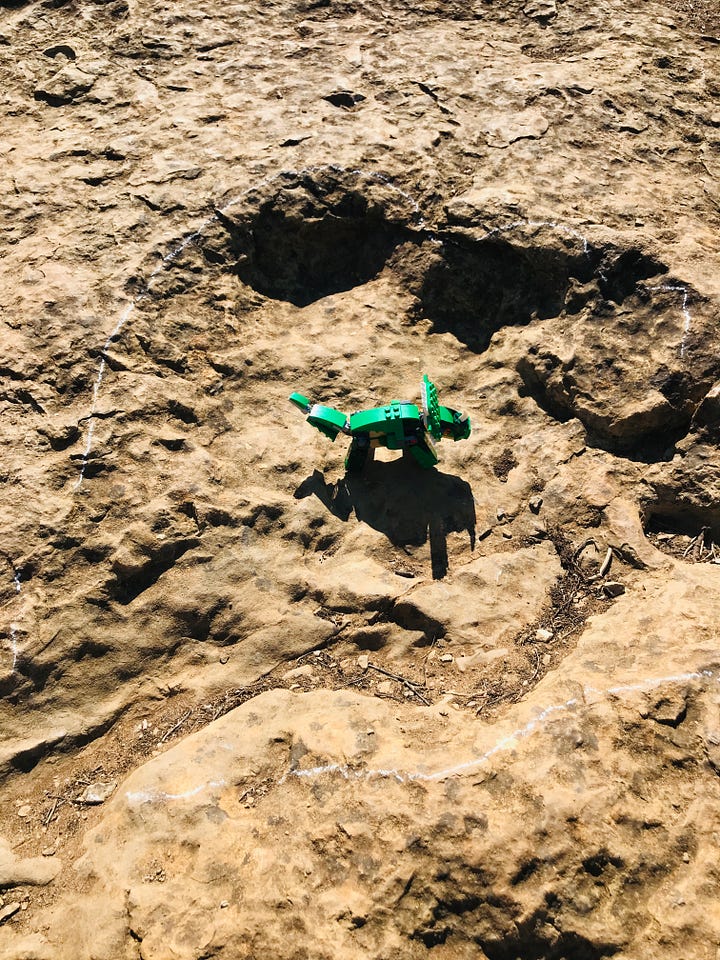 Dinosaur footprints in Portugal