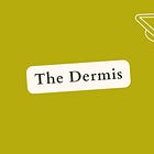 The Dermis