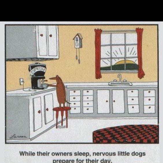 Purpose Of Political Cartoon Kitchen Cabinet - DoreenWare