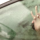 The Absurdity and Delight of Car Sex