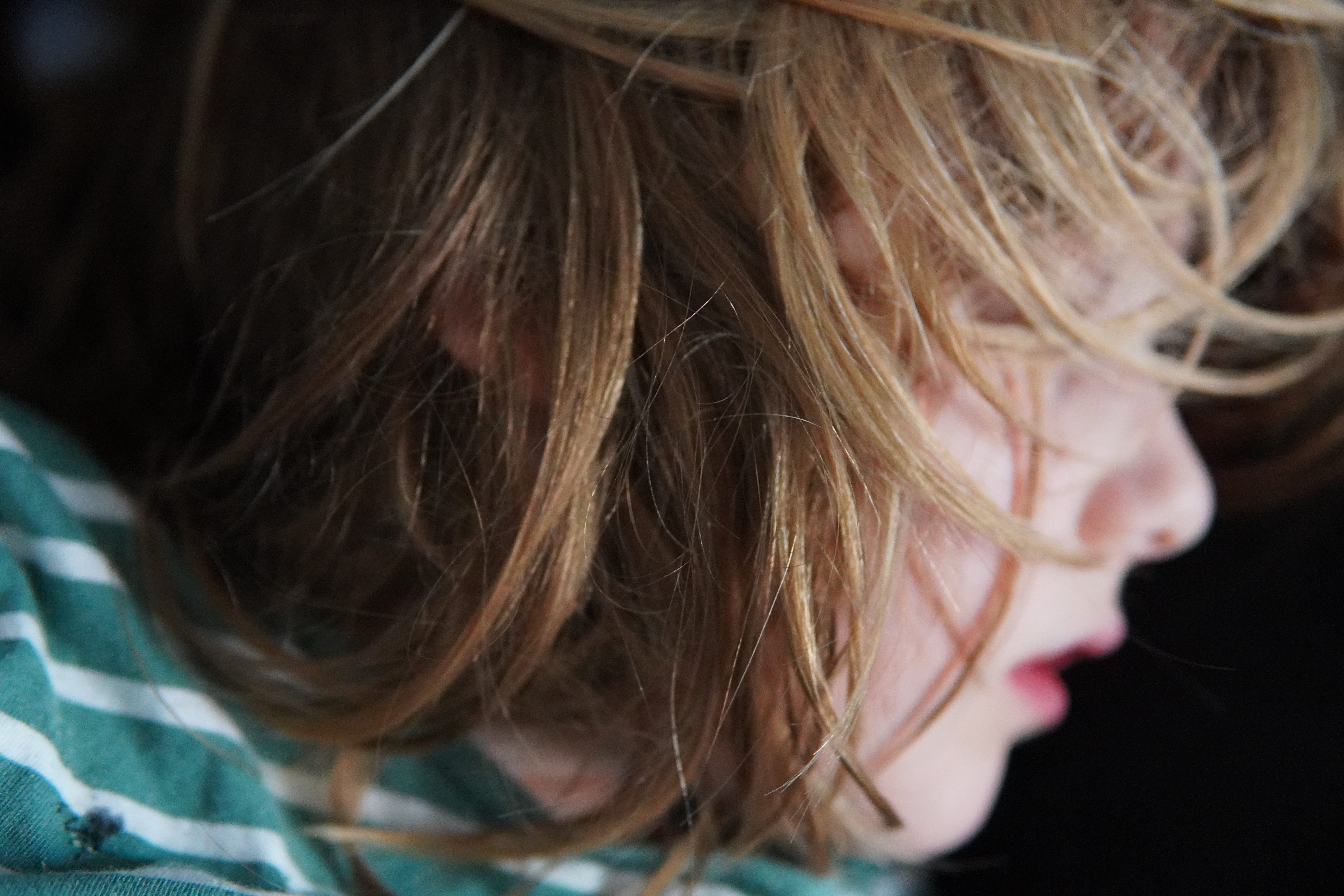 From Bridget Jones to Boyfriend Embargo