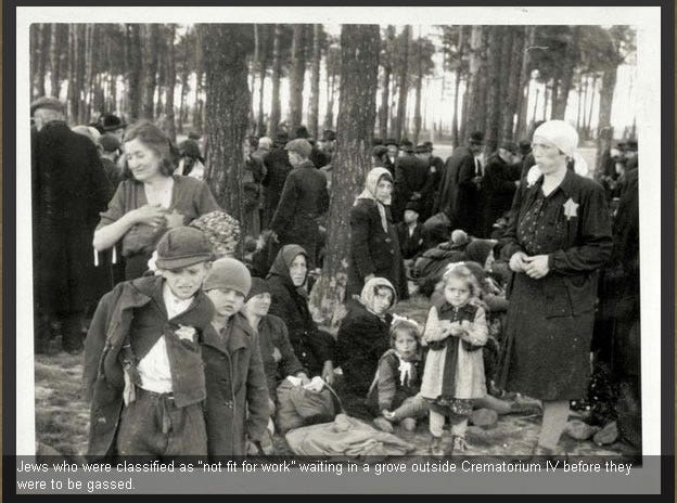auschwitz-27_jpg