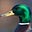 Drake G. Mallard's avatar