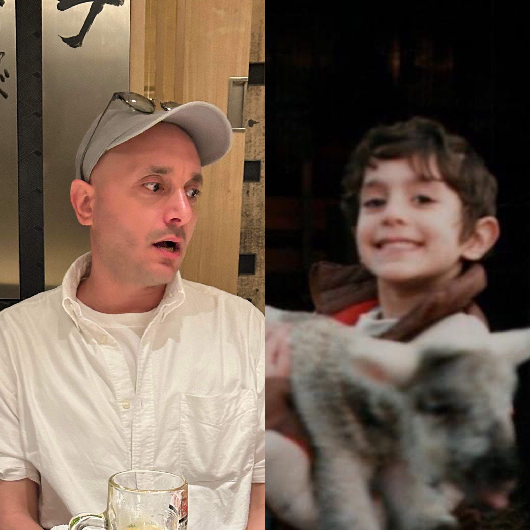 Where Hydrangeas Thrive