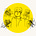 Carson Olshansky's avatar