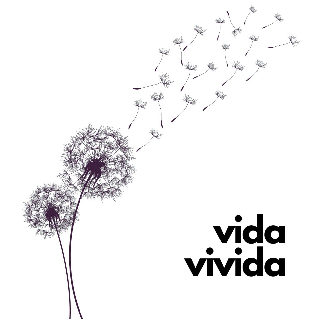 Vida Vivida