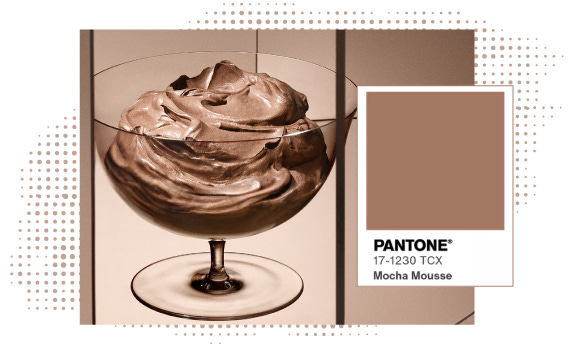 Unappetizing bowl of mocha mousse