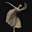 أَســمــاءَ.'s avatar