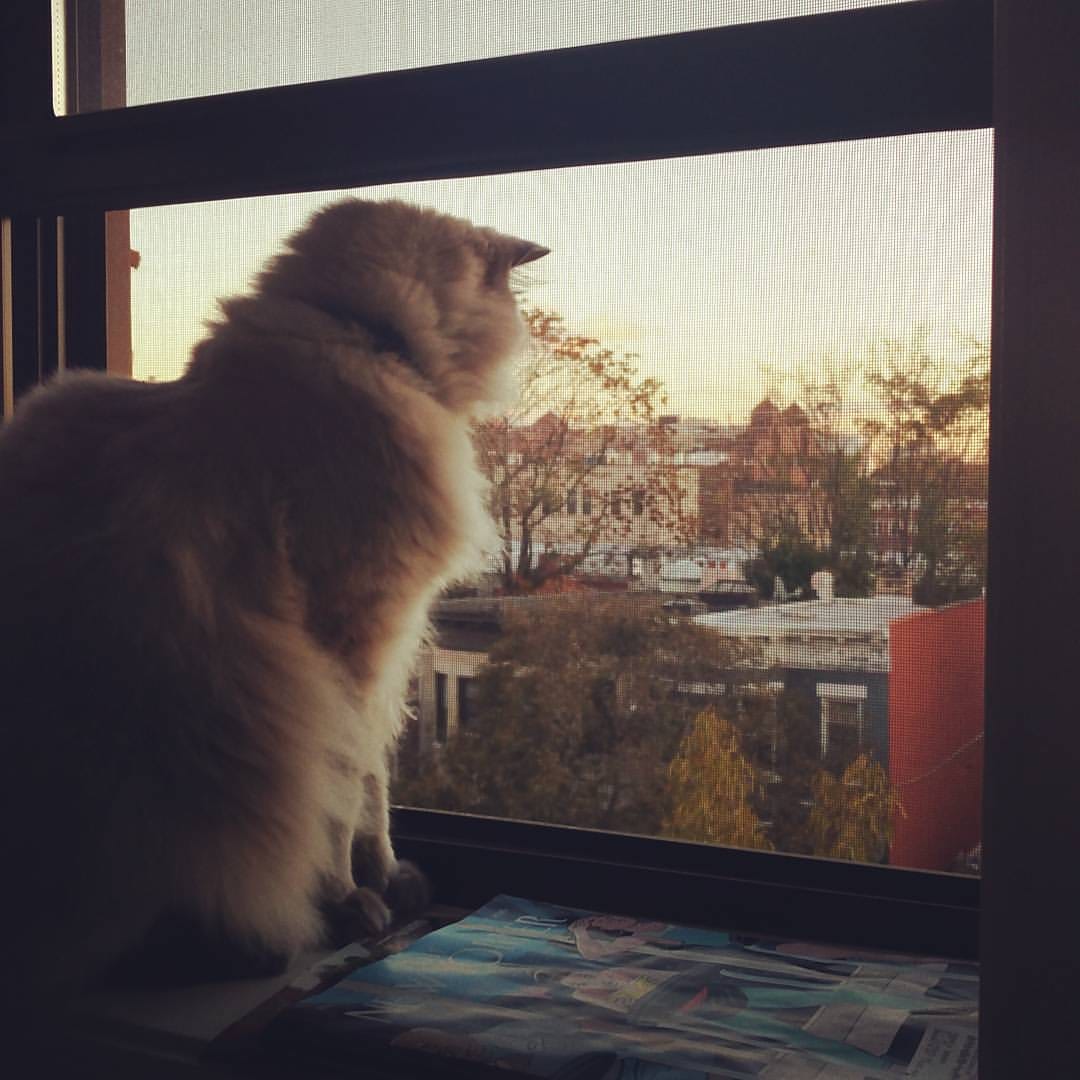 No photo description available. No photo description available.