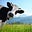 Farming's avatar