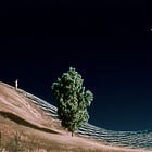 Mental Models for People Who Actually Want to Think