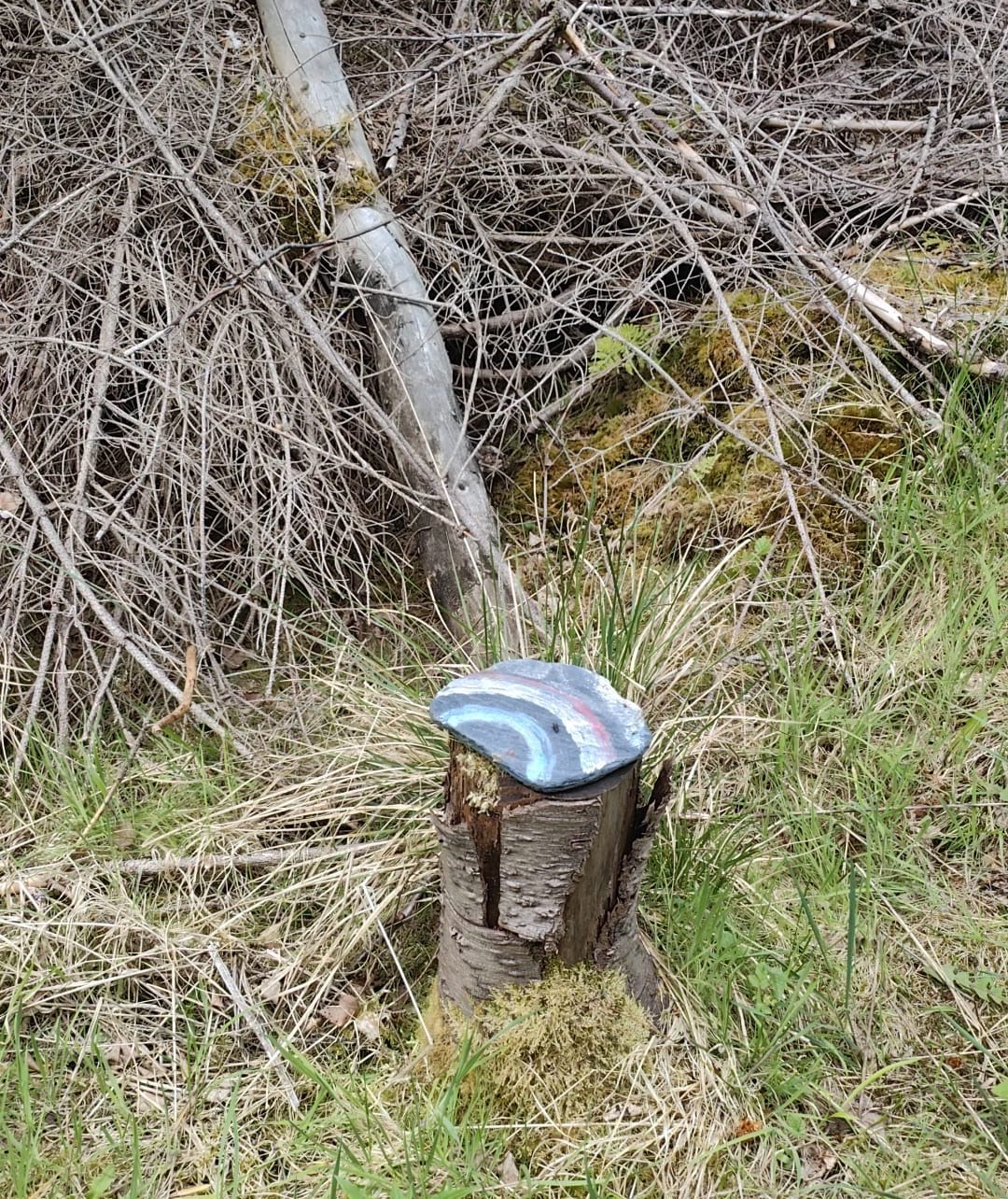 Colour photo showing a piece of slate that has been painted with rainbow stripes and placed on top of a tree stump