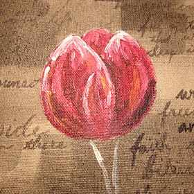 A broken tulip 