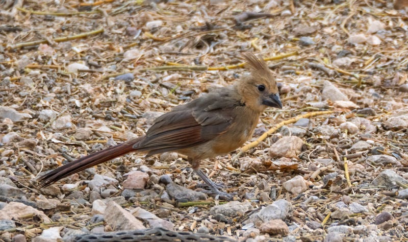 2025-531-MBY-4-Edit.jpg 2025-531-MBY-4-Edit.jpg