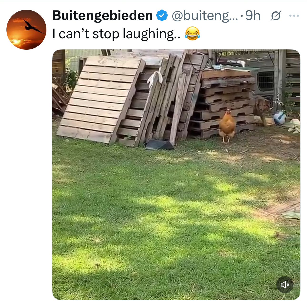 Image.heic Image.heic