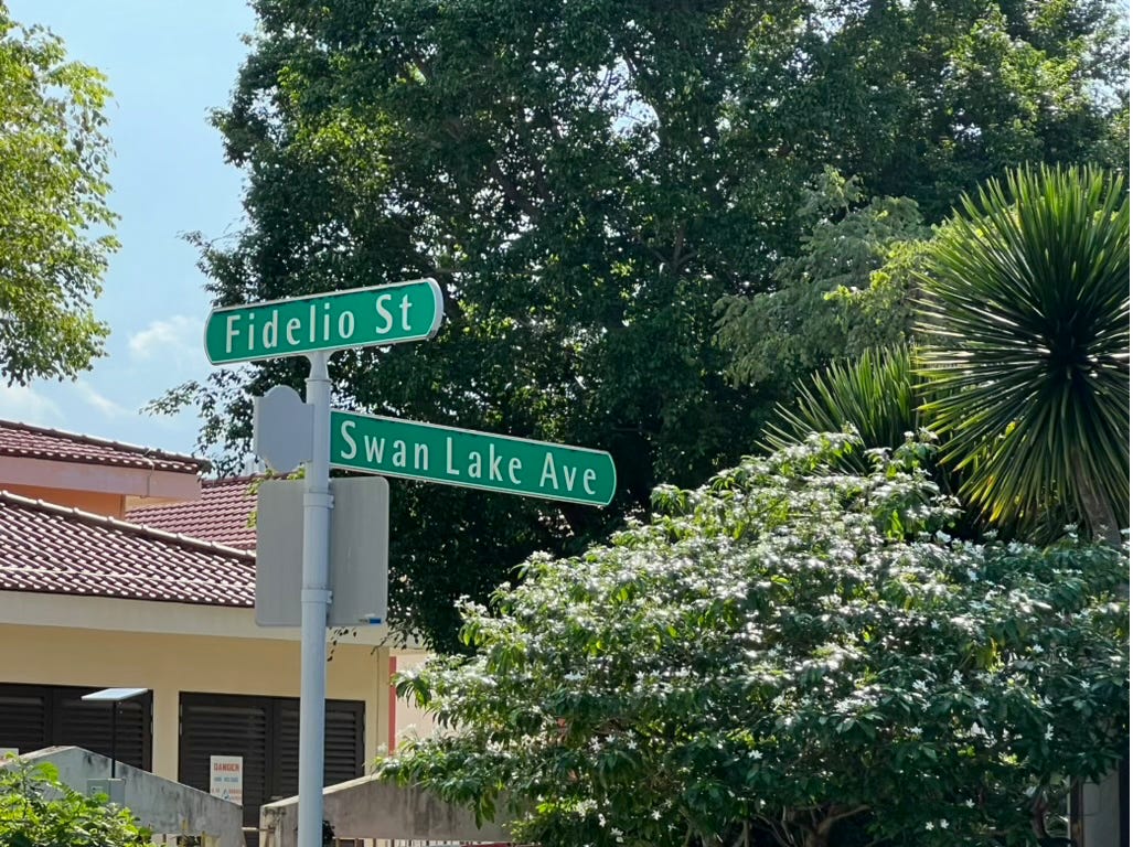 Swan Lake Ave Swan Lake Ave