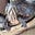 Emily Shell Gamage's avatar