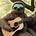 Sidd's avatar