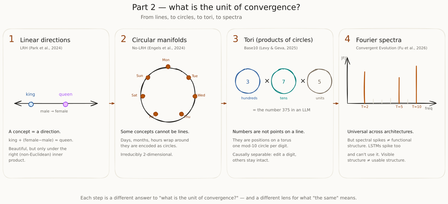 Diagram previewing the representational convergence part two taxonomy