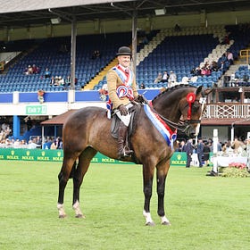 Dublin ribbons and sashes for local competitors 2/2