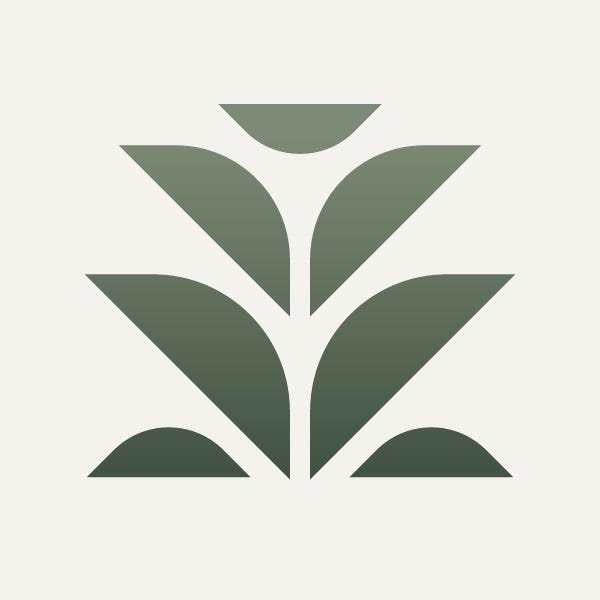 Rooted: a Wellspring Journal 