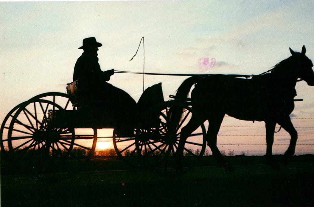 Amish Tranquility Horse Buggy Amish Man Silhouette Postcard | eBay