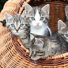 What Are Republicans Giving Trump For Three-Year Anniversary Of January 6? Undying Loyalty!