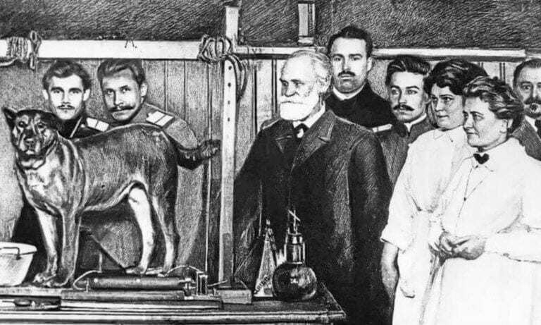Ivan Pavlov Dog
