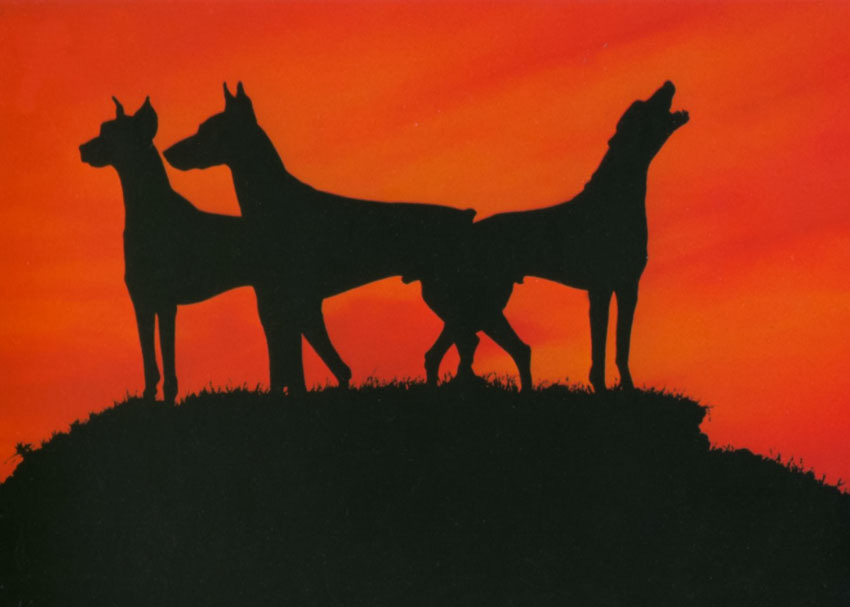 Of dogs and dreams: the strange case of Lindsey C. Vickers’ The ...